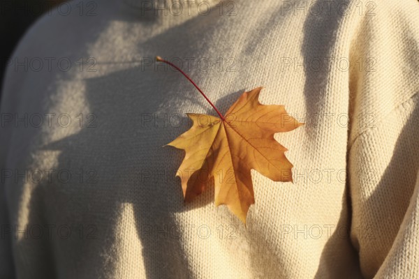 Orange maple leaf on woman's sweater in warm autumn sunlight. Generative AI, AI generated