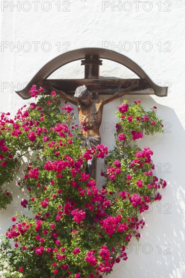 Crucifix with roses at the church of St. Ägidius and Nikolaus, Grainbach, Samerberg, Chiemgau, Upper Bavaria, Bavaria, Germany