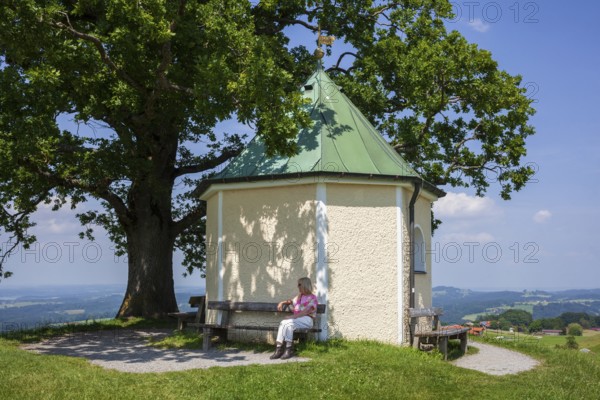 Lookout chapel with Luitpoldeiche, near Törwang, Samerberg, Chiemgau, Upper Bavaria, Bavaria, Germany