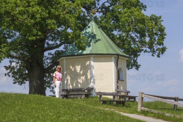Lookout chapel with Luitpoldeiche, near Törwang, Samerberg, Chiemgau, Upper Bavaria, Bavaria, Germany