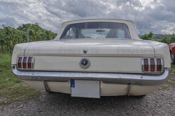 Rear view Ford Mustang, Southern Palatinate, Palatinate, Rhineland-Palatinate, Germany