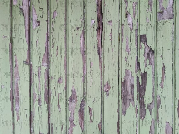 Old wooden door with peeling paint, texture, background, Germany