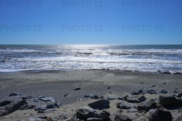 Light glistens on the surface of a calm beach under a bright sky, West Coast, South Island, New Zealand