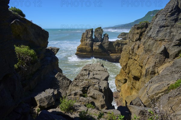 Coastline with steep cliffs and dense vegetation in the distance, Pancake Rocks, Westport, Greymouth, West Coast, South Island, New Zealand