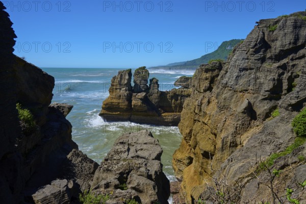 Rocky cliffs overlooking the sea under a clear blue sky, Pancake Rocks, Westport, Greymouth, West Coast, South Island, New Zealand