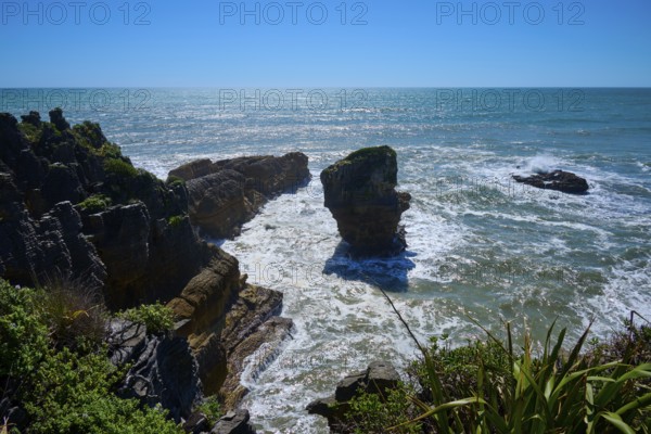 Dramatic rocks rise from the ocean waves, surrounded by natural wilderness, Pancake Rocks, Westport, Greymouth, West Coast, South Island, New Zealand