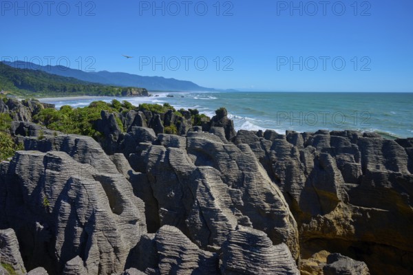 Striking rock formations tower over the roaring sea under a clear blue sky, Pancake Rocks, Westport, Greymouth, West Coast, South Island, New Zealand