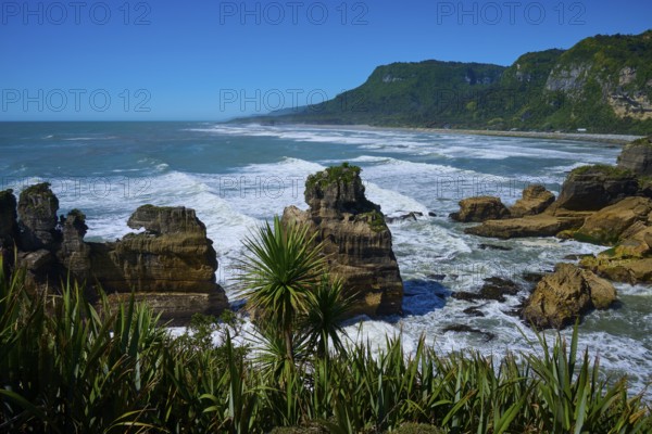 Coastal landscape with rocks, lush vegetation and sweeping sea views, Pancake Rocks, Westport, Greymouth, West Coast, South Island, New Zealand