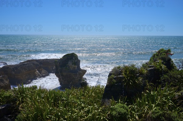 Coastline with lush vegetation and rocks at the edge of the sea, Pancake Rocks, Westport, Greymouth, West Coast, South Island, New Zealand