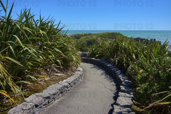 Sea view along a winding road through a green landscape, Pancake Rocks, Westport, Greymouth, West Coast, South Island, New Zealand