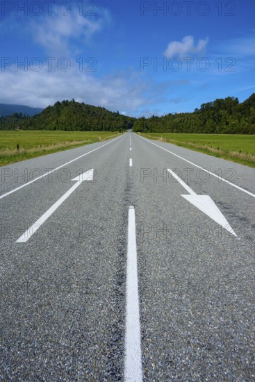 Long, empty country road with arrows, surrounded by green meadows and trees under a blue sky, West Coast, South Island, New Zealand