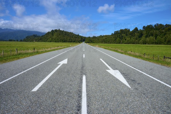 Straight country road with arrows, flanked by green fields and forest, West Coast, South Island, New Zealand