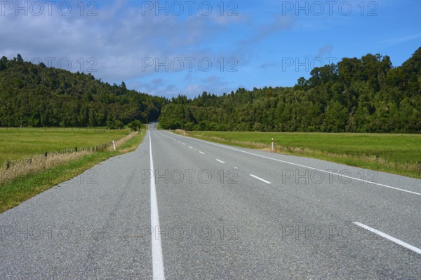 Empty road through rural fields and forests under a clear sky, West Coast, South Island, New Zealand