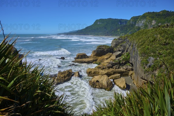 Rocky coast with stormy surf and dense vegetation, Pancake Rocks, Westport, Greymouth, West Coast, South Island, New Zealand
