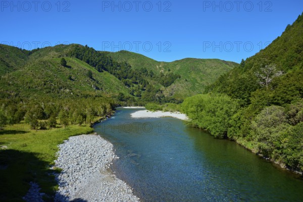 Extensive river course through green mountains under a clear sky, Buller River, Murchison, Tasman, South Island, New Zealand