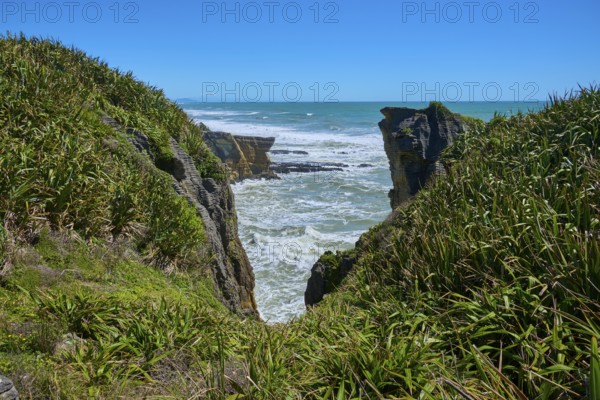 Cliff landscape with lush green vegetation and roaring sea behind the rocks, Pancake Rocks, Westport, Greymouth, West Coast, South Island, New Zealand