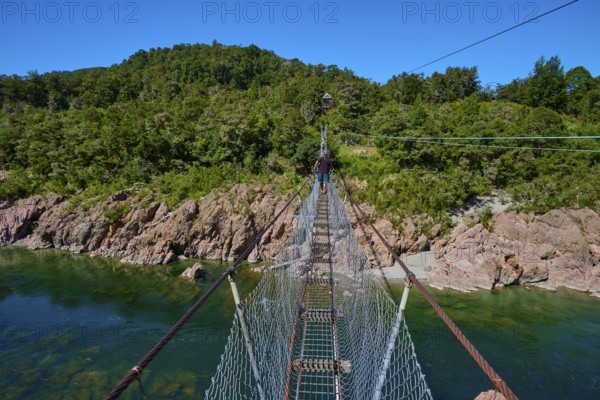 Suspension bridge over turquoise river, surrounded by dense forest under blue sky, Buller Gorge Swing Bridge, Buller River, Murchison, Tasman, South Island, New Zealand