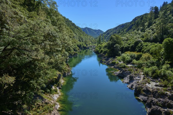 Clear river between wooded hills, tranquil mountain landscape, Buller River, Murchison, Tasman, South Island, New Zealand