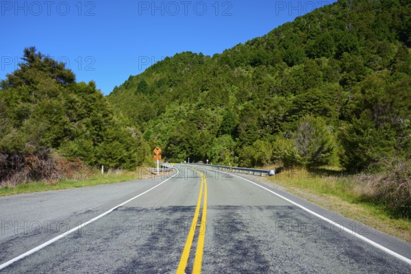 Tarmac road on a bend, surrounded by green forest and clear sky, Buller River, Murchison, Tasman, South Island, New Zealand