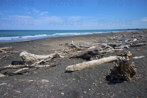 A coastal landscape with driftwood and blue sky, Mana Bay, Patea, Taranaki, North Island, New Zealand