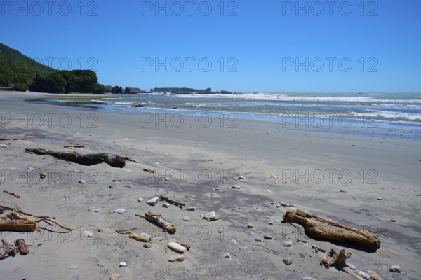 Extensive sandy beach with driftwood and gentle waves under a clear blue sky, West Coast, South Island, New Zealand