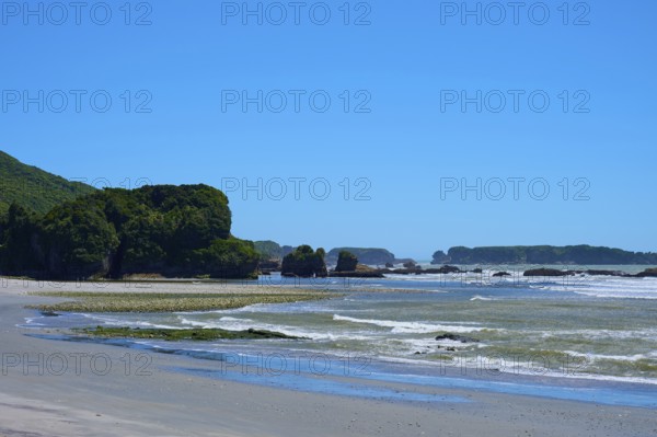 Coastal landscape with rocks, green hinterland and calm waves, West Coast, South Island, New Zealand