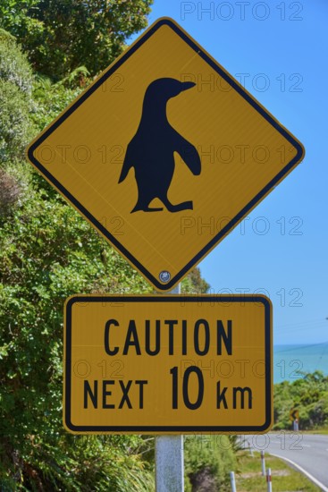 Penguin warning sign on a road overlooking the blue ocean, West Coast, South Island, New Zealand