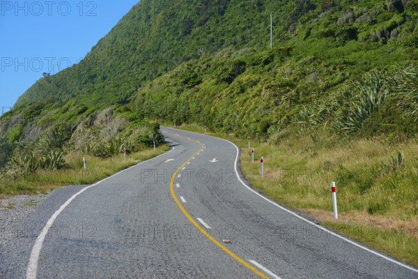 Winding road between lush vegetation and hills under a blue sky, West Coast, South Island, New Zealand