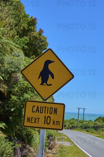 Road sign warning of penguins with a view of blue sky and green vegetation, West Coast, South Island, New Zealand