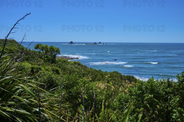 View of the coast with lush vegetation and waves, Cape Foulwind, West Coast, South Island, New Zealand