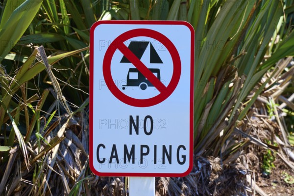 Prohibition sign for camping in a natural environment with green plants, West Coast, South Island, New Zealand