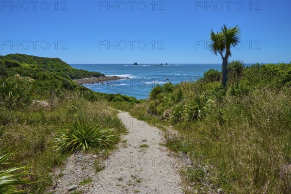 Path leads through green terrain to the sea under a bright sky, Cape Foulwind, West Coast, South Island, New Zealand