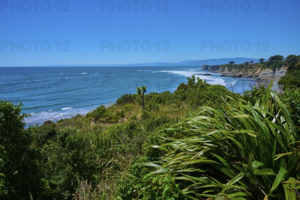 Lush vegetation against a vast ocean backdrop, Cape Foulwind, West Coast, South Island, New Zealand