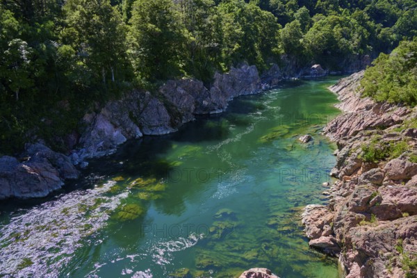 Emerald green river surrounded by rocks and dense forest, Buller River, Murchison, Tasman, South Island, New Zealand