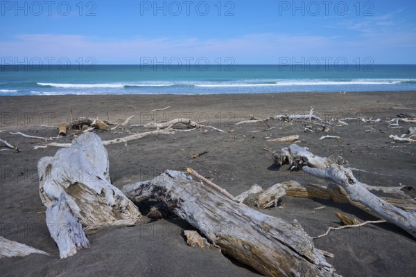 Tranquil coastal landscape with driftwood and calm sea views, Mana Bay, Patea, Taranaki, North Island, New Zealand