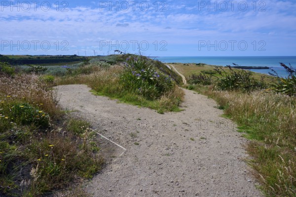 A sandy path leads through grassland to the distant sea under a blue sky, Mana Bay, Riverview Lookout, Patea, Taranaki, North Island, New Zealand