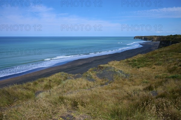View of black sand beach with gentle waves, grassy coastline under clear sky, Mana Bay, Riverview Lookout, Patea, Taranaki, North Island, New Zealand