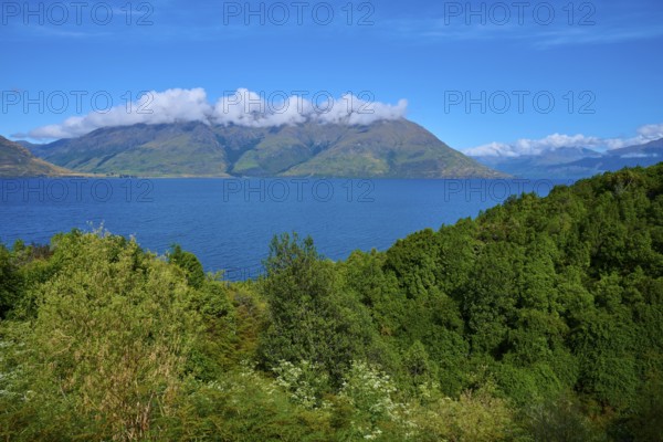 Lush green landscape with mountains in the background and a blue lake, Drift Bay, Lake Wakatipu, Queenstown-Lakes District, Otago, South Island, New Zealand