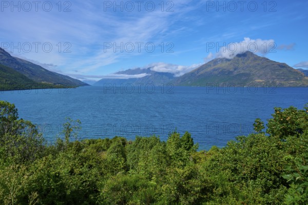 Landscape with lake and mountains, surrounded by green vegetation, Drift Bay, Lake Wakatipu, Queenstown-Lakes District, Otago, South Island, New Zealand