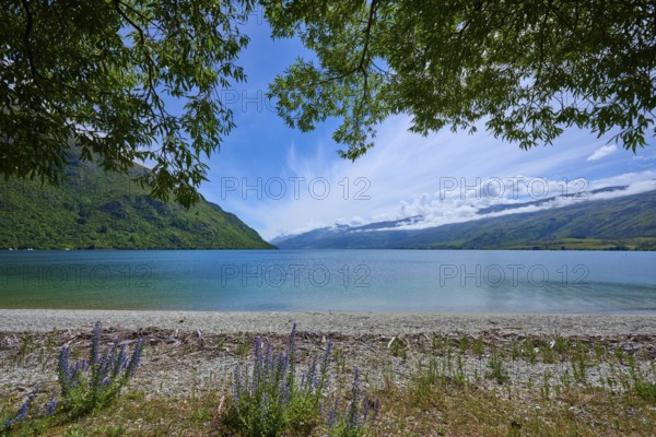 Idyllic seascape with mountains and cloudy sky, Kingston, Queenstown-Lakes District, Otago, South Island, New Zealand