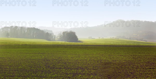 Rural landscape in Hohenlohe, an area in Southern Germany