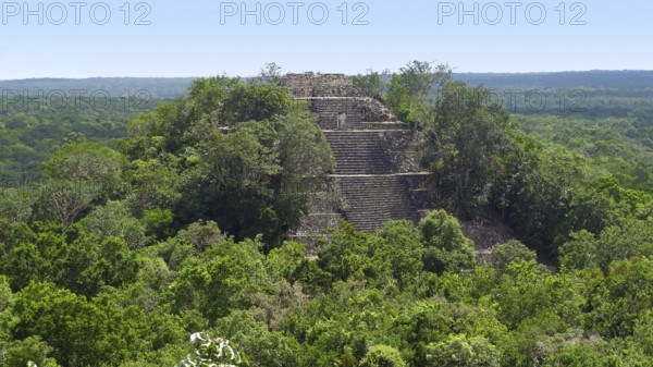 Overgrown temple at Calakmul, a mayan archaeological site in the mexican state of Campeche