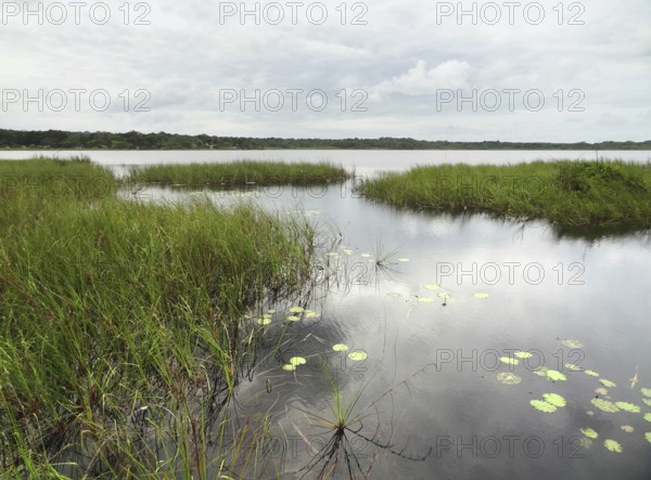Idyllic wetlands scenery around Coba, a village in Mexico