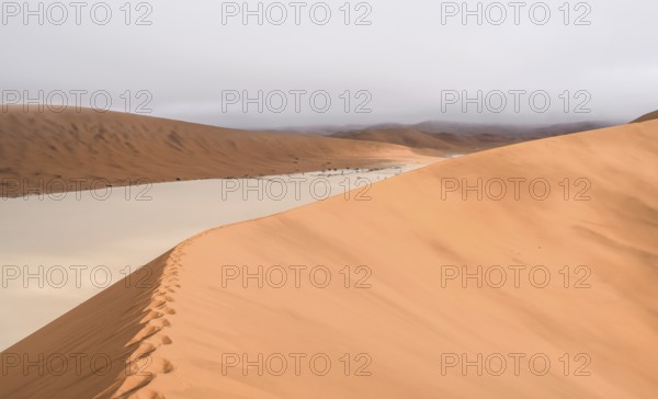 Namib desert scenery around Deadvlei in the Sossusvlei area in Namibia