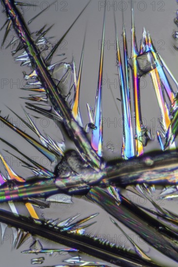 Macro shot of growing microcrystals of soda lye in polarized light