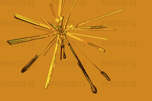 Microscopic shot if some Iron (III) chloride microcrystals in fluid ambiance