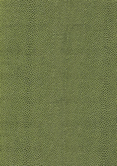 Full frame green abstract cellular background