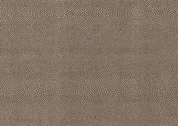 Full frame brown abstract cellular background