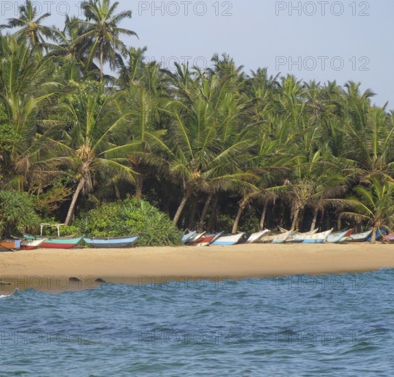 Tropical beach scenery with lots of boats seen in Sri lanka
