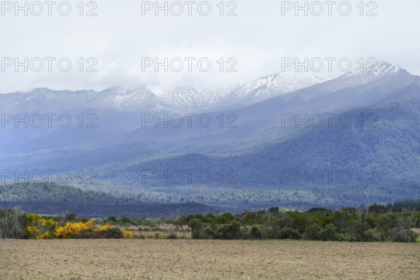 Landscape around Dunedin at the South Island of New Zealand